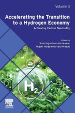 Accelerating the Transition to a Hydrogen Economy