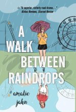 A Walk Between Raindrops