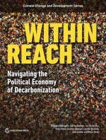 The Political Economy of Climate Action