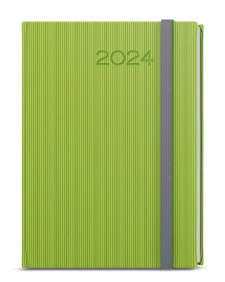 Denní diář 2024 David Vigo zelená