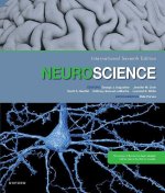 Neuroscience 7/e ()