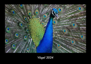 Vögel 2024 Fotokalender DIN A3