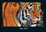 Tiger 2024 Fotokalender DIN A4