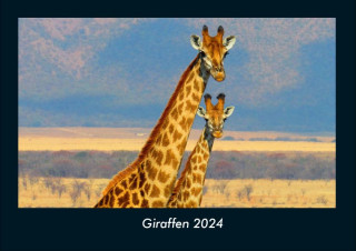 Giraffen 2024 Fotokalender DIN A4