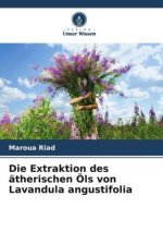 Die Extraktion des ätherischen Öls von Lavandula angustifolia