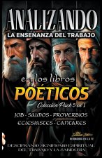 Analizando la Ense?anza del Trabajo en los Libros Poéticos