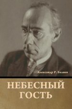 Небесный гость