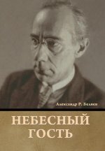 Небесный гость