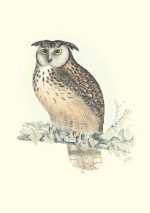 Carnet Notes & Lecture - Oiseaux de l’Himalaya