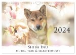 Shiba Inu - mutig, treu, selbstbewusst (Wandkalender 2024 DIN A4 quer), CALVENDO Monatskalender