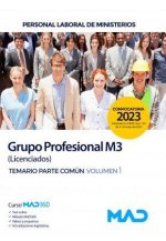 PERSONAL LABORAL MINISTERIOS GRUPO PROFESIONAL M3 (LICENC