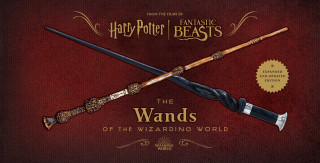 HARRY POTTER WANDS OF THE WIZARDING WORL