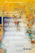Perspectives on Africa-China Infrastructural and Industrial Cooperation