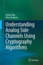 Understanding Analog Side Channels Using Cryptography Algorithms