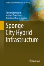 Sponge City Hybrid Infrastructure