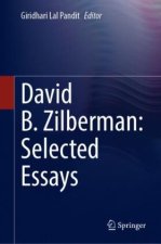David B. Zilberman 