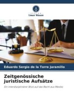 Zeitgenössische juristische Aufsätze