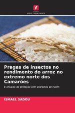 Pragas de insectos no rendimento do arroz no extremo norte dos Camarões