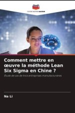 Comment mettre en ?uvre la méthode Lean Six Sigma en Chine ?