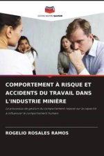 COMPORTEMENT ? RISQUE ET ACCIDENTS DU TRAVAIL DANS L'INDUSTRIE MINI?RE