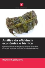 Análise da efici?ncia económica e técnica