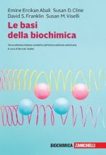 basi della biochimica