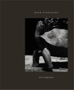 Rich Stapleton Collection I /anglais