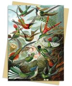 ERNST HAECKEL HUMMINGBIRDS GREETING CARD