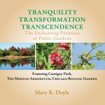 Ed Marciniak's City and Church: A Voice of Conscience