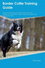 Border Collie Training Guide  Border Collie Training Includes