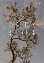 NRSV CATHOLIC EDITION BIBLE EUCALYPTUS