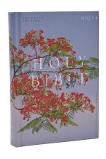 NRSV CATHOLIC EDITION BIBLE ROYAL POINCI