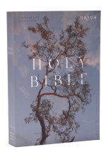 NRSV CATHOLIC EDITION BIBLE EUCALYPTUS