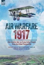 Air Warfare, 1917 - The Aviation War as it was being Fought  from the Allied Perspective