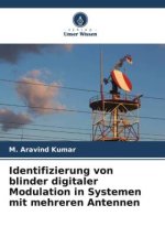 Identifizierung von blinder digitaler Modulation in Systemen mit mehreren Antennen