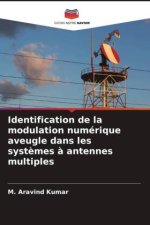 Identification de la modulation numérique aveugle dans les syst?mes ? antennes multiples