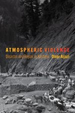 Atmospheric Violence: Disaster and Repair in the Borderlands
