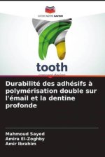 Durabilité des adhésifs ? polymérisation double sur l'émail et la dentine profonde