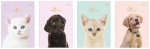 Zeszyt A5 w kratkę 32 kartki Puppy Sign 10 sztuk mix