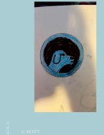 Death of the Blue Dogs