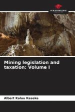 Mining legislation and taxation: Volume I