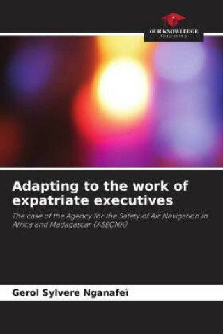 Adapting to the work of expatriate executives