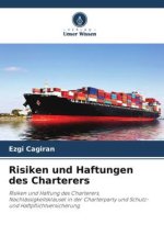 Risiken und Haftungen des Charterers