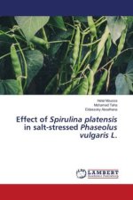 Effect of Spirulina platensis in salt-stressed Phaseolus vulgaris L.