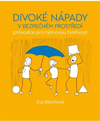 Divokďż˝ nďż˝pady v bezpeďż˝nďż˝m prostďż˝edďż˝