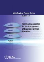 Technical Approaches for the Management of Separated Civiliian Plutonium: IAEA Nuclear Energy Series No. Nf-T-4.11