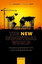 The New Industrial World Manufacturing Development in the Course of the Globalization Age (Hardback)
