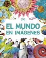 EL MUNDO EN IMAGENES
