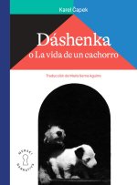 DASHENKA