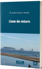 Llum de retorn